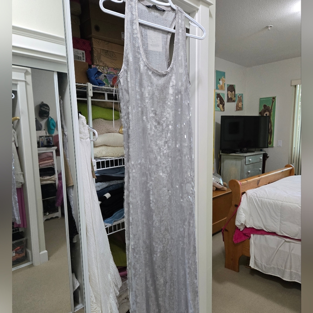 Zara Silver Maxi Dress